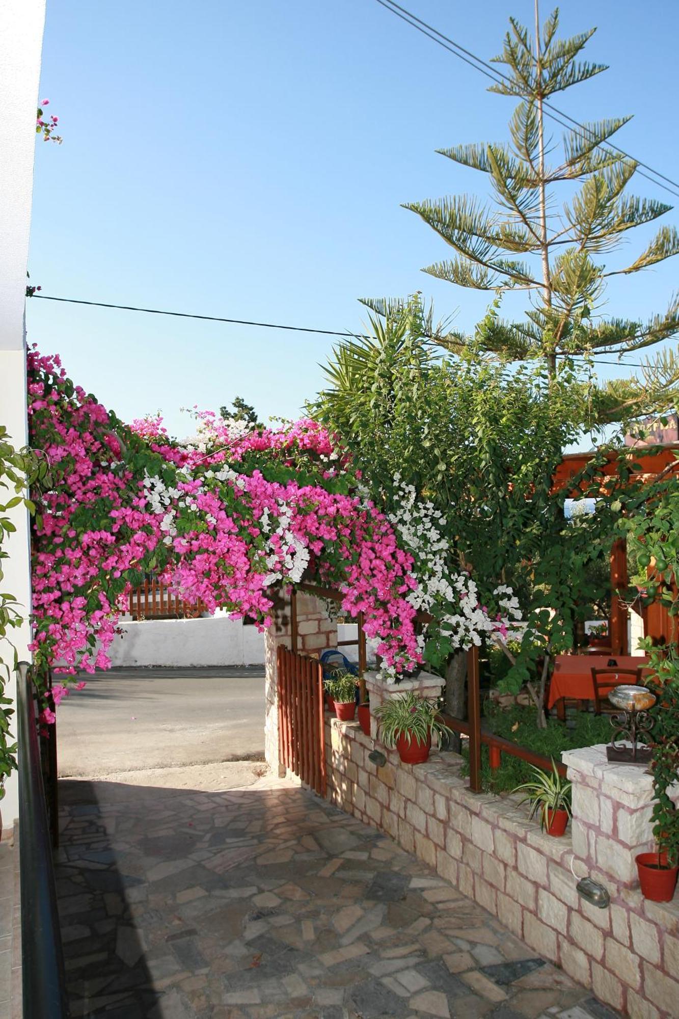 Kastro Apartments Panormos  Exterior photo
